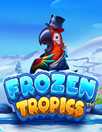 solarbet ดี ไหม? มาทดลองเล่นกันเถอะ!